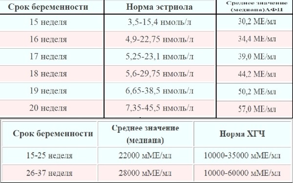 15 неделя беременности. Ощущения в животе, шевеление, развитие плода, фото на УЗИ