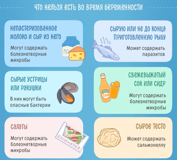 2 недели беременности от зачатия. Признаки и ощущения, что происходит, фото плода