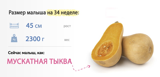 34-35 неделя беременности. Что происходит с малышом, мамой, вес ребенка, роды