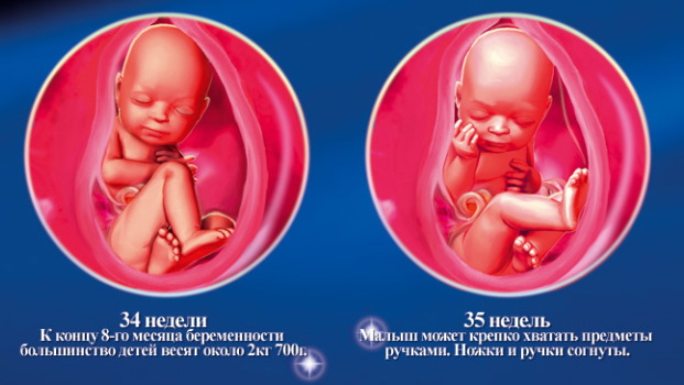 34-35 неделя беременности. Что происходит с малышом, мамой, вес ребенка, роды