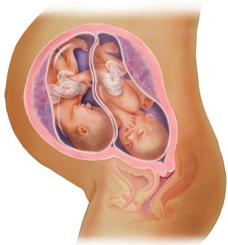 Во сколько недель уходят в декретный отпуск, выплаты по уходу за ребенком до 3 лет, трудовой стаж