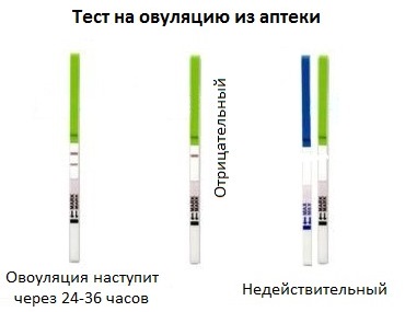 Актиферт гель для зачатия: отзывы, состав, инструкция по применению, побочные действия, аналоги, цена