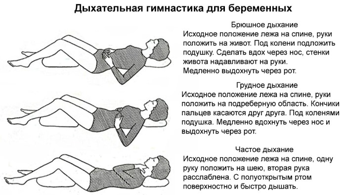 Акушерский срок (неделя) беременности. Как считается, сколько это дней, разница с фактической, ЭКО, УЗИ, скрининг