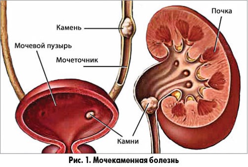Аквадетрим для грудничка. Как давать, до какого возраста, симптомы передозировки. Отзывы