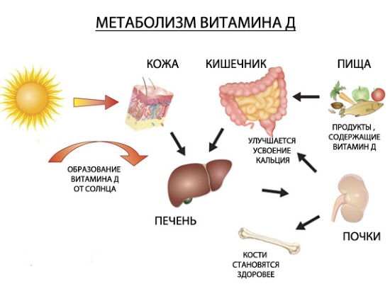 Аквадетрим для грудничка. Как давать, до какого возраста, симптомы передозировки. Отзывы