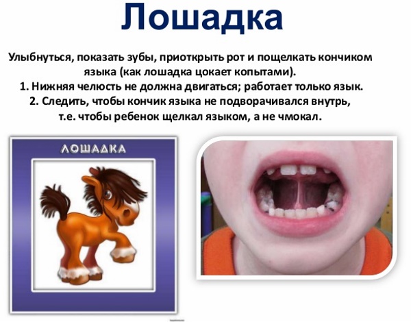 Артикуляционная гимнастика для детей 3-4-5-6 лет в детском саду