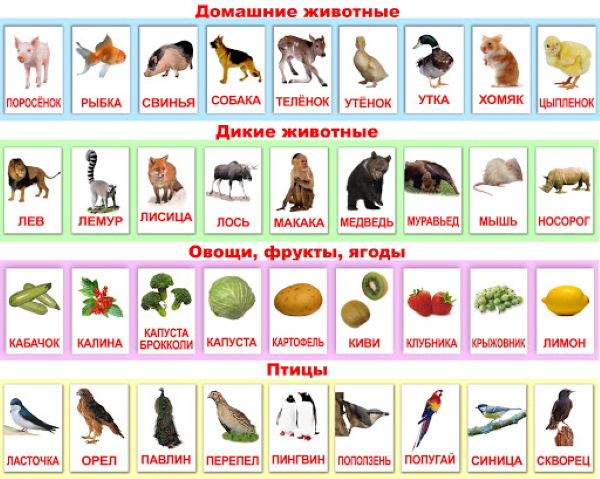 Азбука для малышей обучение детей чтению, алфавит