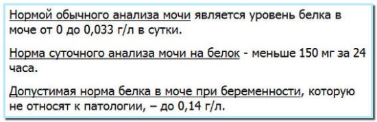 Белок в моче при беременности: причины и последствия для ребенка на ранних и поздних сроках, как снизить. Таблица норм