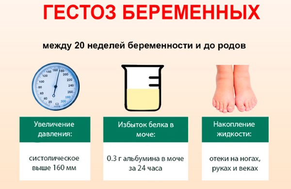 Белок в моче при беременности: причины и последствия для ребенка на ранних и поздних сроках, как снизить. Таблица норм