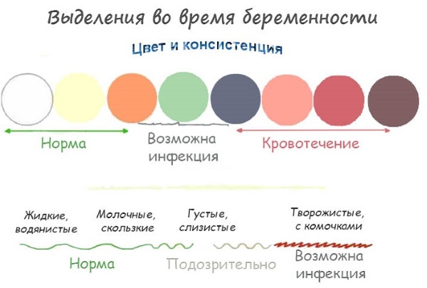 Беременность 27 недель. Развитие плода, ощущения женщины, что происходит, фото на УЗИ