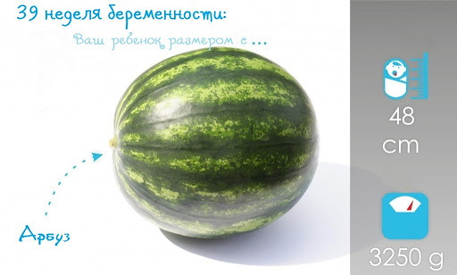 Беременность 39 недель. Признаки приближающихся родов, развитие плода, ощущения, УЗИ, фото живота