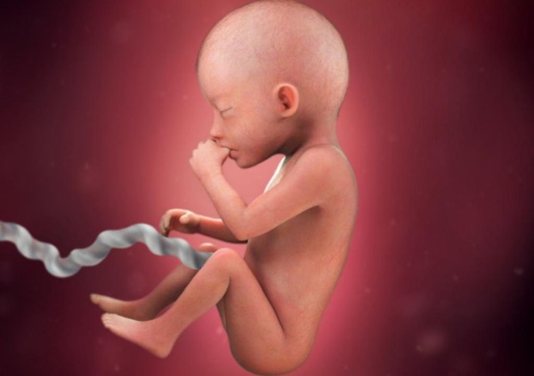 Беременность по месяцам. Фото живота, размеры, особенности роста и вынашивания плода