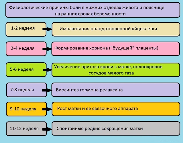 Боль в пояснице при беременности в первом, втором, третьем триместре. Лечение