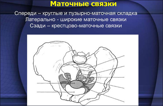 Боли в желудке при беременности. Что делать, что можно принимать, как лечить