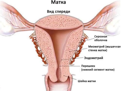 гипертонус матки