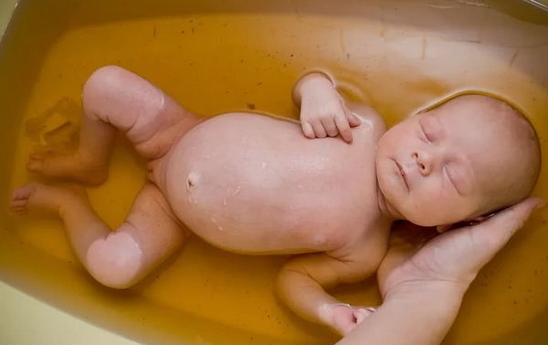 Череда: лечебные свойства, состав, показания и противопоказания. Польза для детей, мужчин, женщин, при беременности, использование в народной медицине