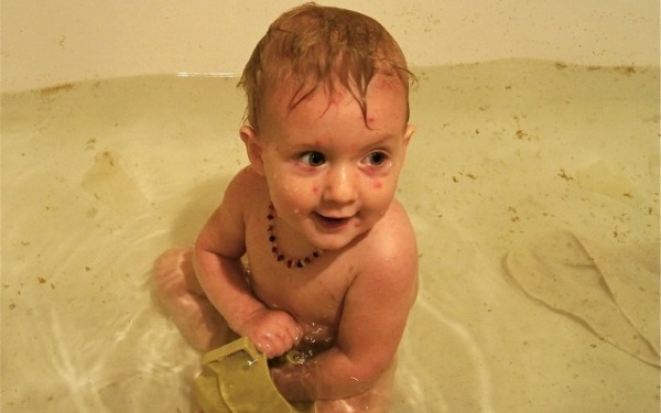 Череда: лечебные свойства, состав, показания и противопоказания. Польза для детей, мужчин, женщин, при беременности, использование в народной медицине