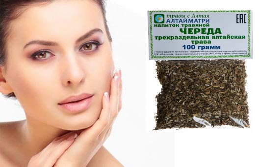 Череда: лечебные свойства, состав, показания и противопоказания. Польза для детей, мужчин, женщин, при беременности, использование в народной медицине