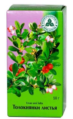 Череда: лечебные свойства, состав, показания и противопоказания. Польза для детей, мужчин, женщин, при беременности, использование в народной медицине