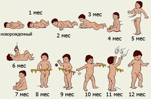 Что должен уметь ребенок в 2 месяца. Точная таблица, развитие малыша