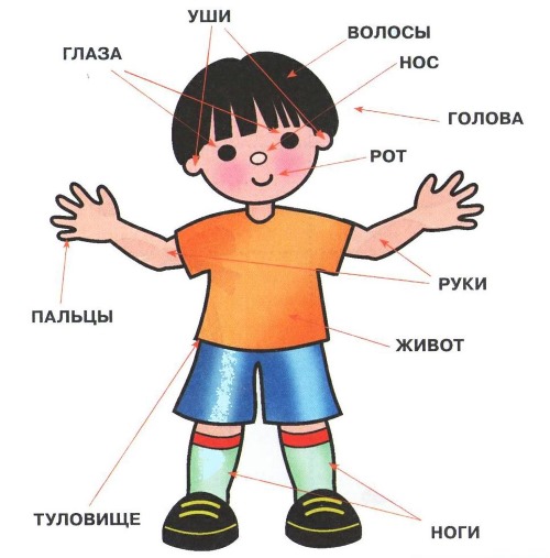 Что должен уметь ребенок в 3 года: мальчик, девочка. Памятка для родителей, программа развития