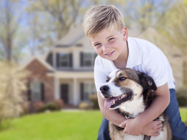 ребенок, мальчик, собака