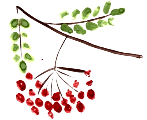 Декоративно-прикладное творчество для детей 3-7 лет. Что это, виды, картинки