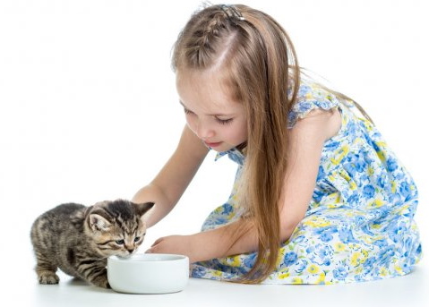 Добрые дела для детей, школьников. Список