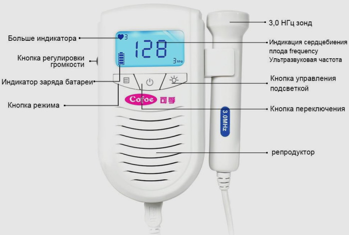 Домашний допплер для беременных. Вредно или нет, с какого срока слышно сердцебиение, цена, отзывы