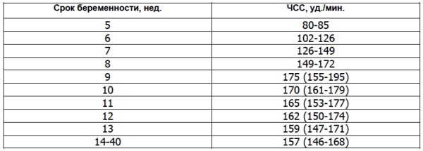 Домашний допплер для беременных. Вредно или нет, с какого срока слышно сердцебиение, цена, отзывы
