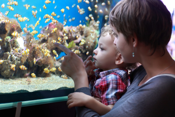 Духовно-нравственное воспитание дошкольников в рамках ФГОС