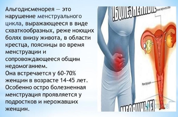 Двурогая матка и беременность. Что это такое, причины у женщин, как выглядит, что значит, плохо ли, можно ли забеременеть