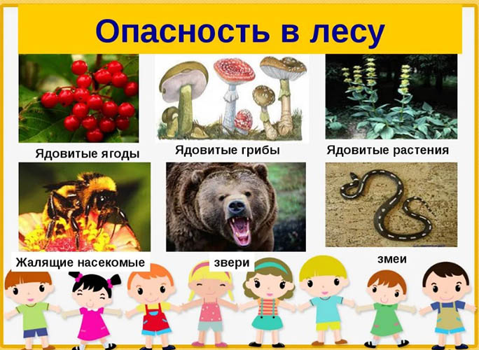 Экологическое воспитание дошкольников в детском саду, ДОУ