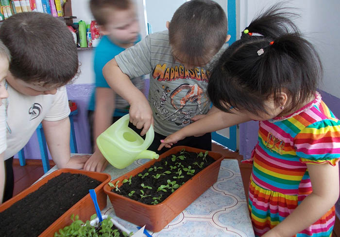 Экспериментирование (опытно-экспериментальная деятельность) в средней группе