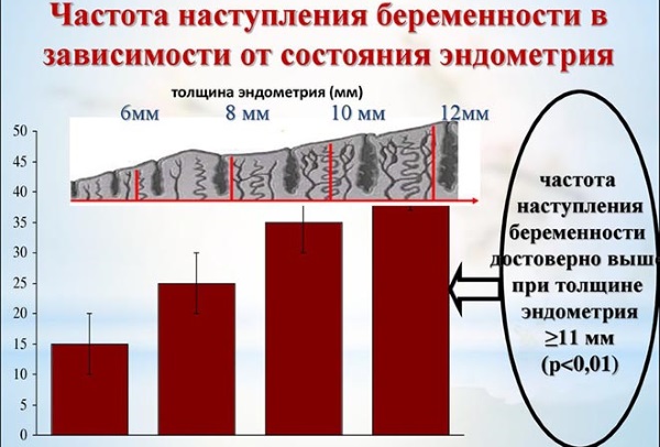 7 неделя беременности акушерская. Развитие плода и ощущения, что происходит, фото живота