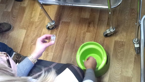 Энтеробиоз у детей. Симптомы и лечение народными средствами, таблеткой, препараты. Как сдавать анализ, как берут соскоб. Последствия