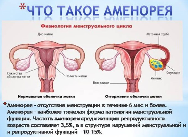 Фертильность у женщин. Что это такое, окно, коэффициент по странам, календарь, индекс по Фаррису, тест, как определить повысить. Проблемы