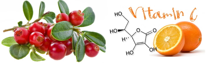 Фитолизин Пренатал при беременности от отеков. Инструкция, как принимать, аналоги