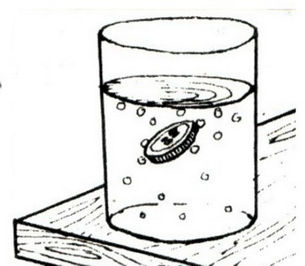 Фокусы для детей 5 лет в домашних условиях