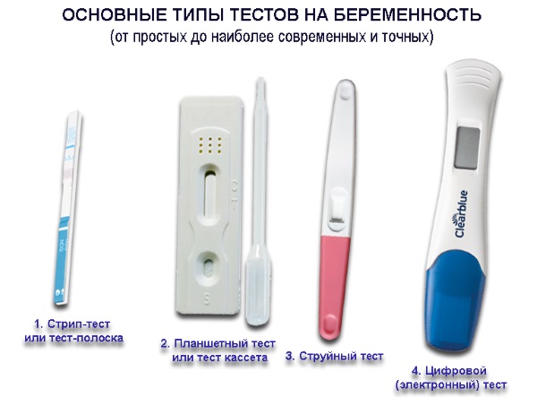 Тесты на беременность. Фото по дням после овуляции, до задержки, на маленьком сроке