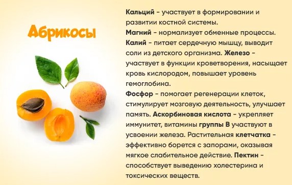 Фрукты полезные беременным на ранних сроках, 2-3 триместре