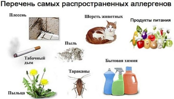 Гайморит у детей. Симптомы и лечение народными средствами, препараты. Советы Комаровского