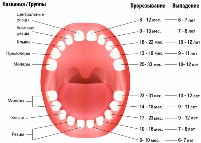 Гнилые (плохие) зубы у детей. Какие витамины пить, причины, что делать