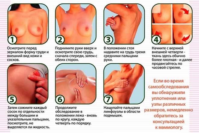 Грудь при беременности. Фото изменений, увеличение чувствительности, боли, уменьшилась, чешется, набухает