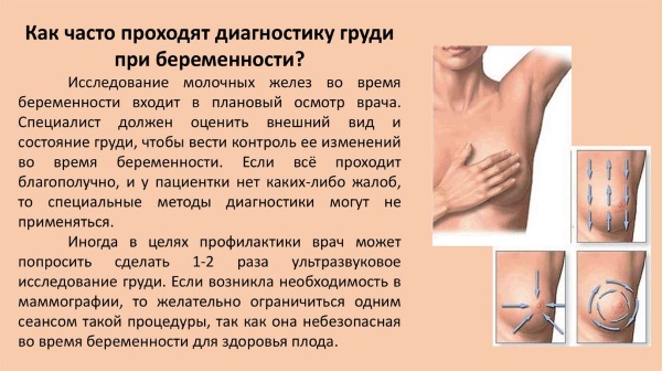 Грудь при беременности. Фото изменений, увеличение чувствительности, боли, уменьшилась, чешется, набухает