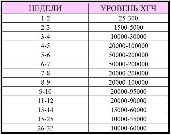 ХГЧ при беременности: норма, таблица от зачатия по дням. Расшифровка анализа крови, как растет уровень. Показатель после ЭКО