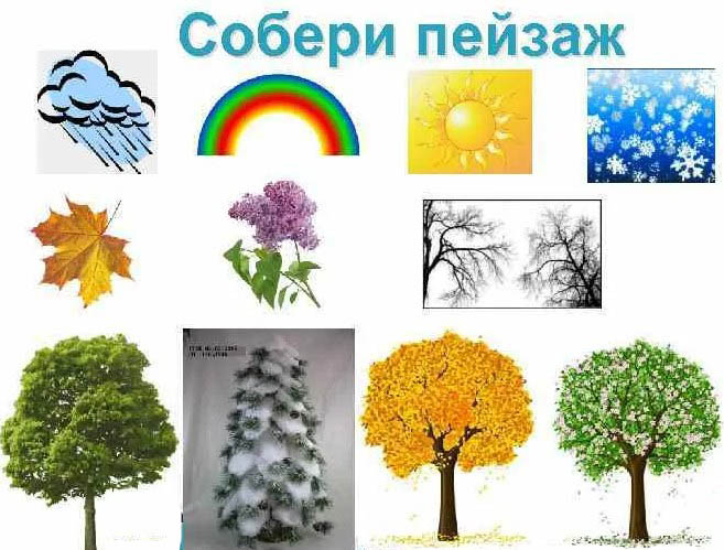 Художественно-эстетическое развитие дошкольников по ФГОС в старшей группе