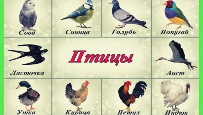 Игровая деятельность в средней группе. Картотека с целями по ФГОС