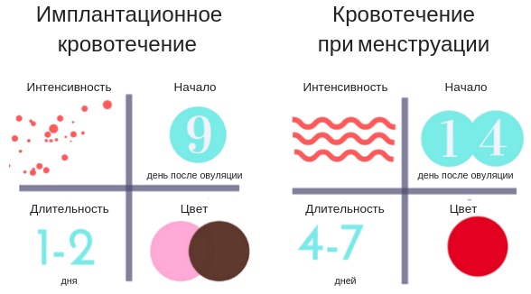 Имплантационное кровотечение. Фото, что это такое, у всех ли бывает, когда делать тест на беременность, на какой день происходит после переноса эмбрионов