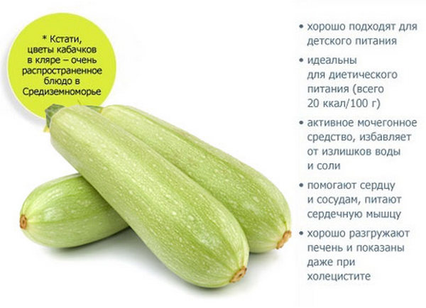 Кабачки при грудном вскармливании можно ли?